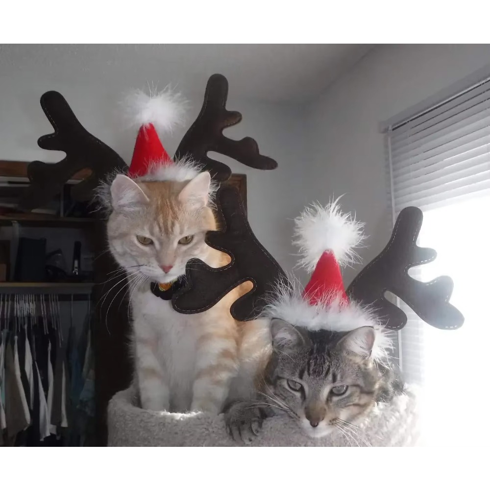 Serre-tête de Noël pour animau - Reindeer Antlers Headband avis et prix