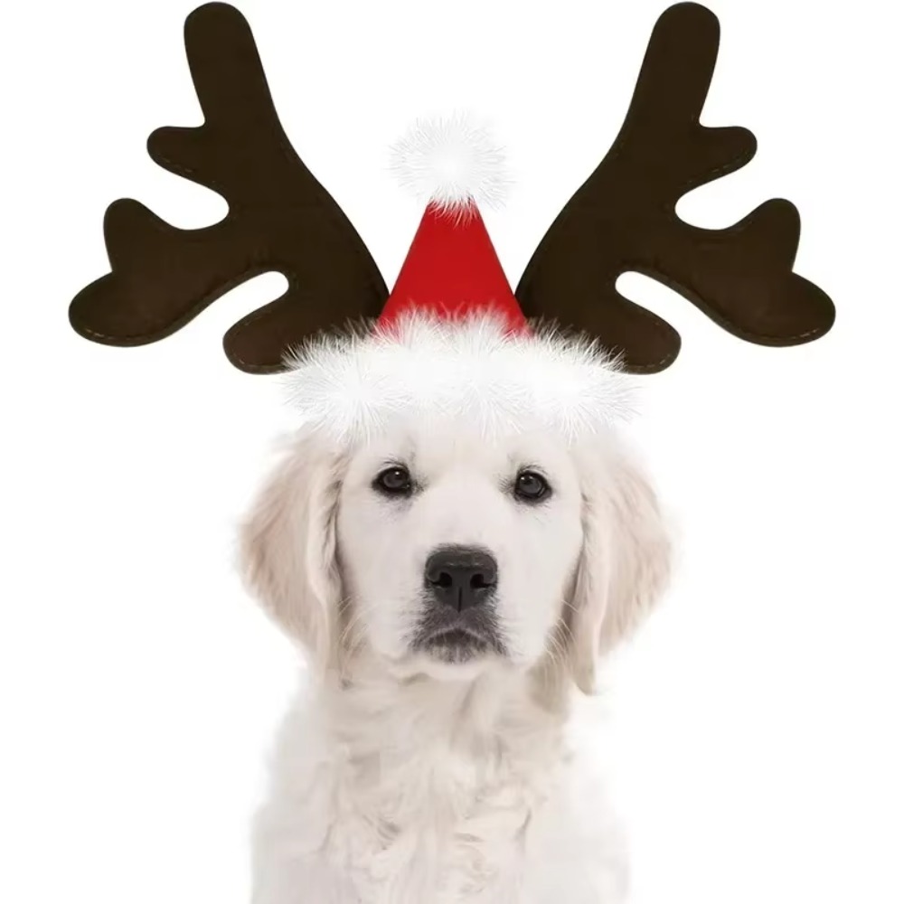 Serre-tête de Noël pour animau - Reindeer Antlers Headband avis et prix